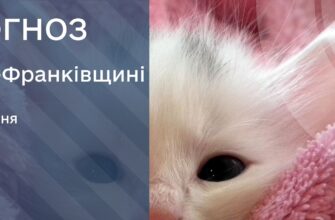 Прогноз погоди на 19 липня 2025 року