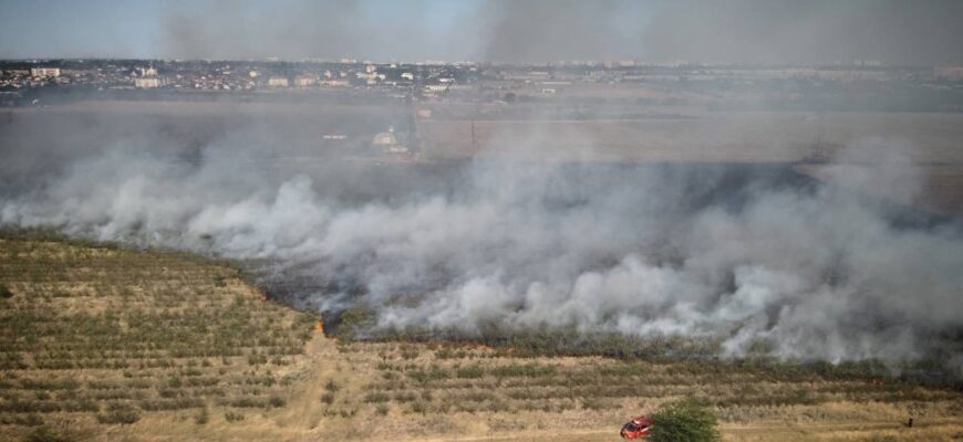 Одещина: вогнеборці ліквідували масштабну пожежу на площі близько 25 га