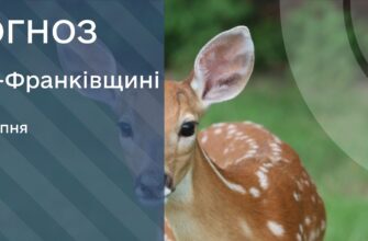 Прогноз погоди на 11 серпня 2025 року
