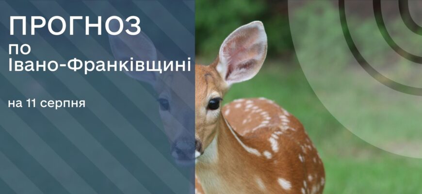 Прогноз погоди на 11 серпня 2025 року
