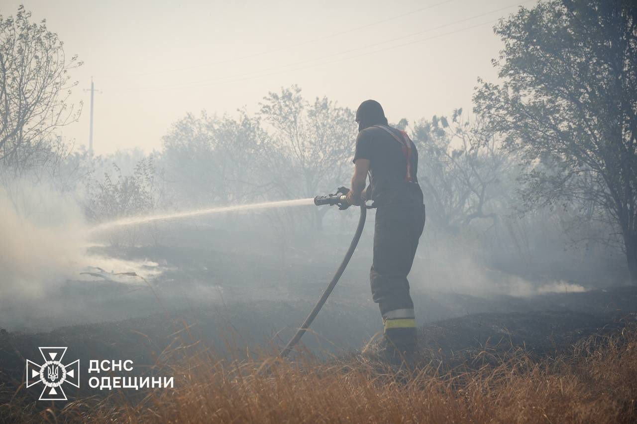 arporno - Одещина: вогнеборці ліквідували масштабну пожежу на площі близько 25 га - rai.ua