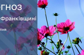 Прогноз погоди на 13 серпня 2025 року