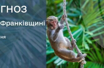 Прогноз погоди на 4 серпня 2025 року