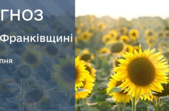Прогноз погоди на 25 серпня 2025 року
