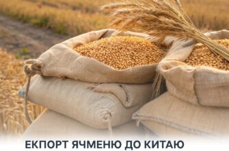 Експорт ячменю з України до Китаю: важлива інформація для експортерів