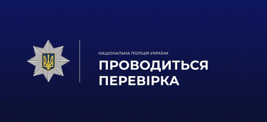 Поліцейські встановлюють місцезнаходження автомобіля «Tesla»
