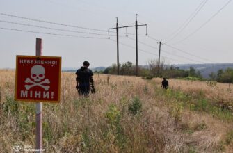 Харківщина: сапери ДСНС проводять розмінування ліній електропередач