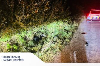Поліцейські Прикарпаття розслідують ДТП, у якій загинув водій мопеда