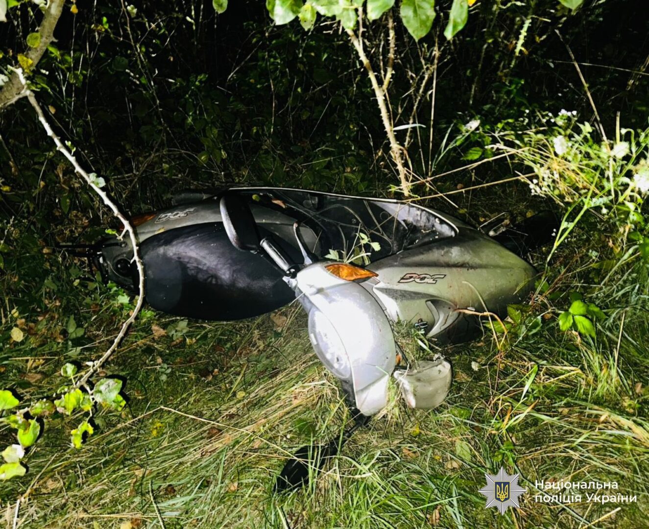 momps - Поліцейські Прикарпаття розслідують ДТП, у якій загинув водій мопеда - rai.ua