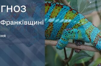 Прогноз погоди на 8 серпня 2025 року