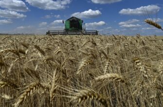 На Прикарпатті аграрії завершили жниву ранніх зернових культур