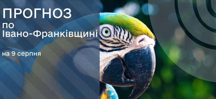 Прогноз погоди на 9 серпня 2025 року