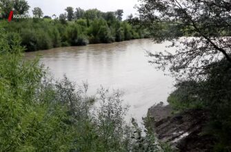 У Коломийській громаді укріплюють дамби. Відео