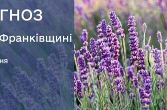 Прогноз погоди на 5 серпня 2025 року