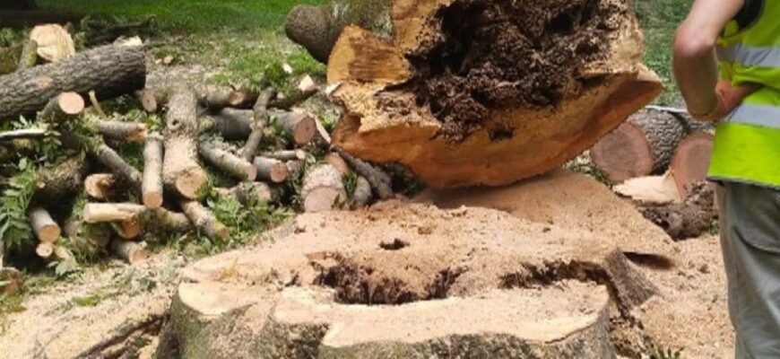 Прикарпатські посадовці завдали збитків громаді на понад 3,5 мільйона гривень