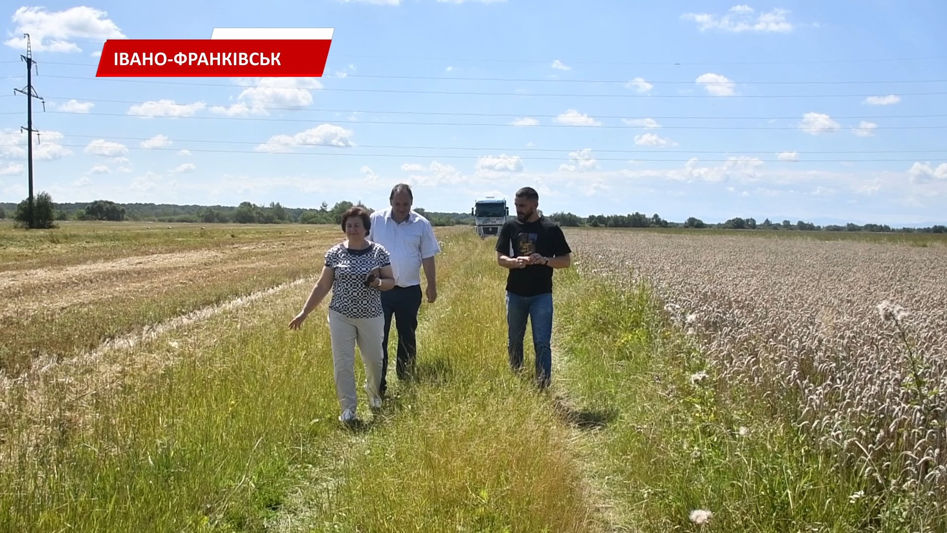 un6 - На полях Івано-Франківської громади розпочали збір пшениці. Відео - rai.ua