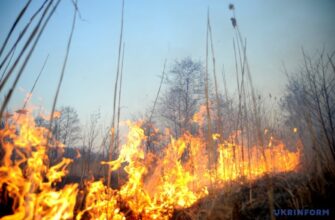 Попередження про пожежну небезпеку в Івано-Франківську, Долині та Коломиї