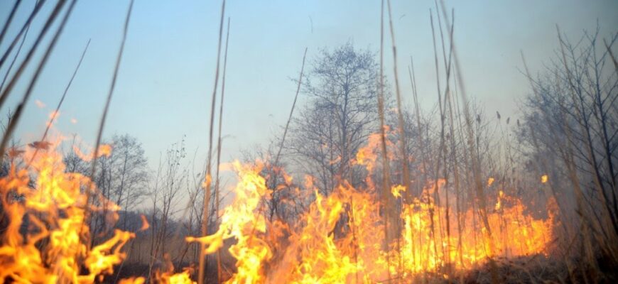 Попередження про пожежну небезпеку в Івано-Франківську, Долині та Коломиї
