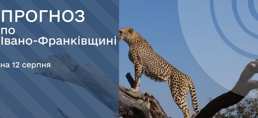 Прогноз погоди на 12 серпня 2025 року
