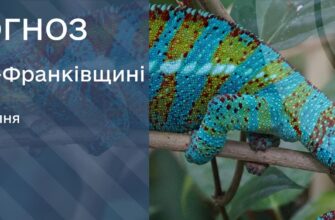 Прогноз погоди на 8 серпня 2025 року