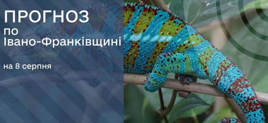 Прогноз погоди на 8 серпня 2025 року