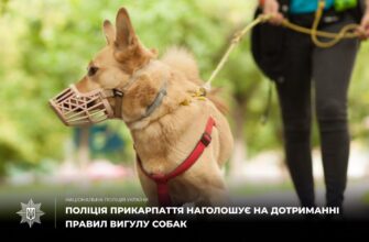 Коломийські поліцейські притягнули до відповідальності жінку за порушення правил вигулу собаки