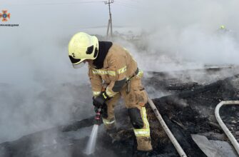 Вогнеборці ліквідували пожежу на птахофабриці
