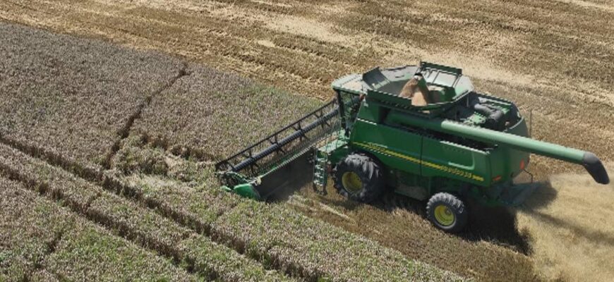 Збитки державі на понад 22 млн грн: викрито посадовця сільськогосподарської установи