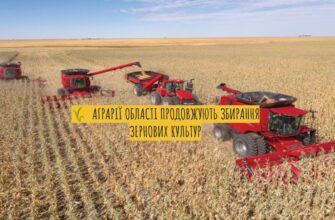 Жнива на Прикарпатті: зібрано третину врожаю зернових та зернобобових