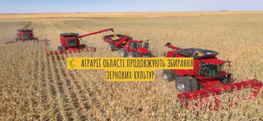 Жнива на Прикарпатті: зібрано третину врожаю зернових та зернобобових