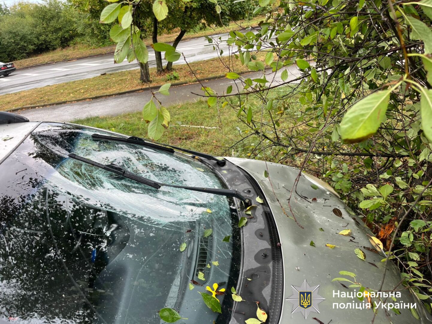 aashlpnlshch - В Івано-Франківську водій автомобіля наїхав на жінку - rai.ua