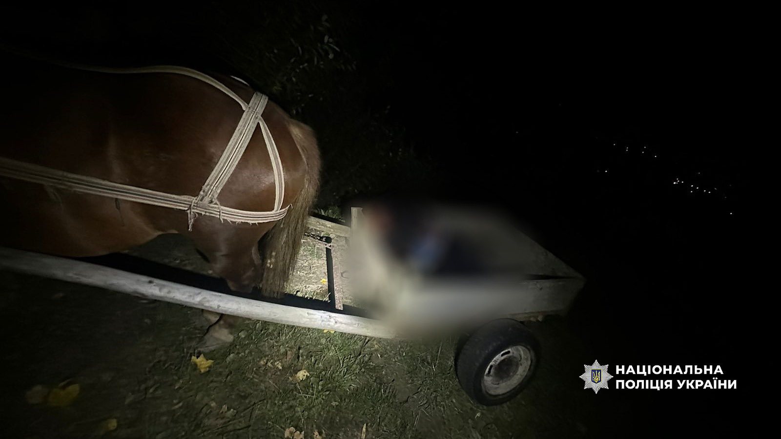 aga - Поліцейські затримали прикарпатця за підозрою в умисному вбивстві - rai.ua