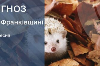 Прогноз погоди на 18 вересня 2025 року