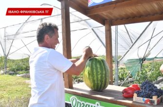 Руслан Марцінків побував у теплицях фермерського господарства в Чукалівці. Відео
