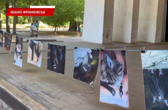 В Івано-Франківську відзначили Міжнародну ніч кажанів. Відео