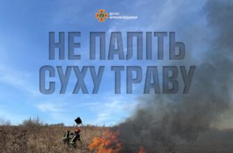 На Прикарпатті рятувальники загасили 17 пожеж в екосистемах