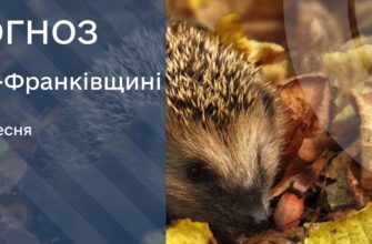 Прогноз погоди на 4 вересня 2025 року