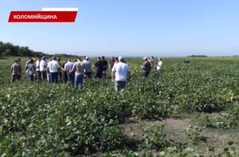 Підписуйтеся на наші канали, щоб завжди бути в курсі важливих новин Івано-Франківська та Прикарпаття. • YouTube - https://www.youtube.com/@RAITVUA • Сайт ТРК «РАІ» - https://rai.ua/ • Facebook - https://www.facebook.com/profile.php?id=100063475576480 • TikTok - https://www.tiktok.com/@trkrai?is_from_webapp=1&sender_device=pc