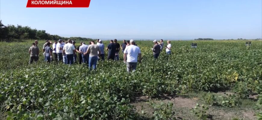 Підписуйтеся на наші канали, щоб завжди бути в курсі важливих новин Івано-Франківська та Прикарпаття. • YouTube - https://www.youtube.com/@RAITVUA • Сайт ТРК «РАІ» - https://rai.ua/ • Facebook - https://www.facebook.com/profile.php?id=100063475576480 • TikTok - https://www.tiktok.com/@trkrai?is_from_webapp=1&sender_device=pc