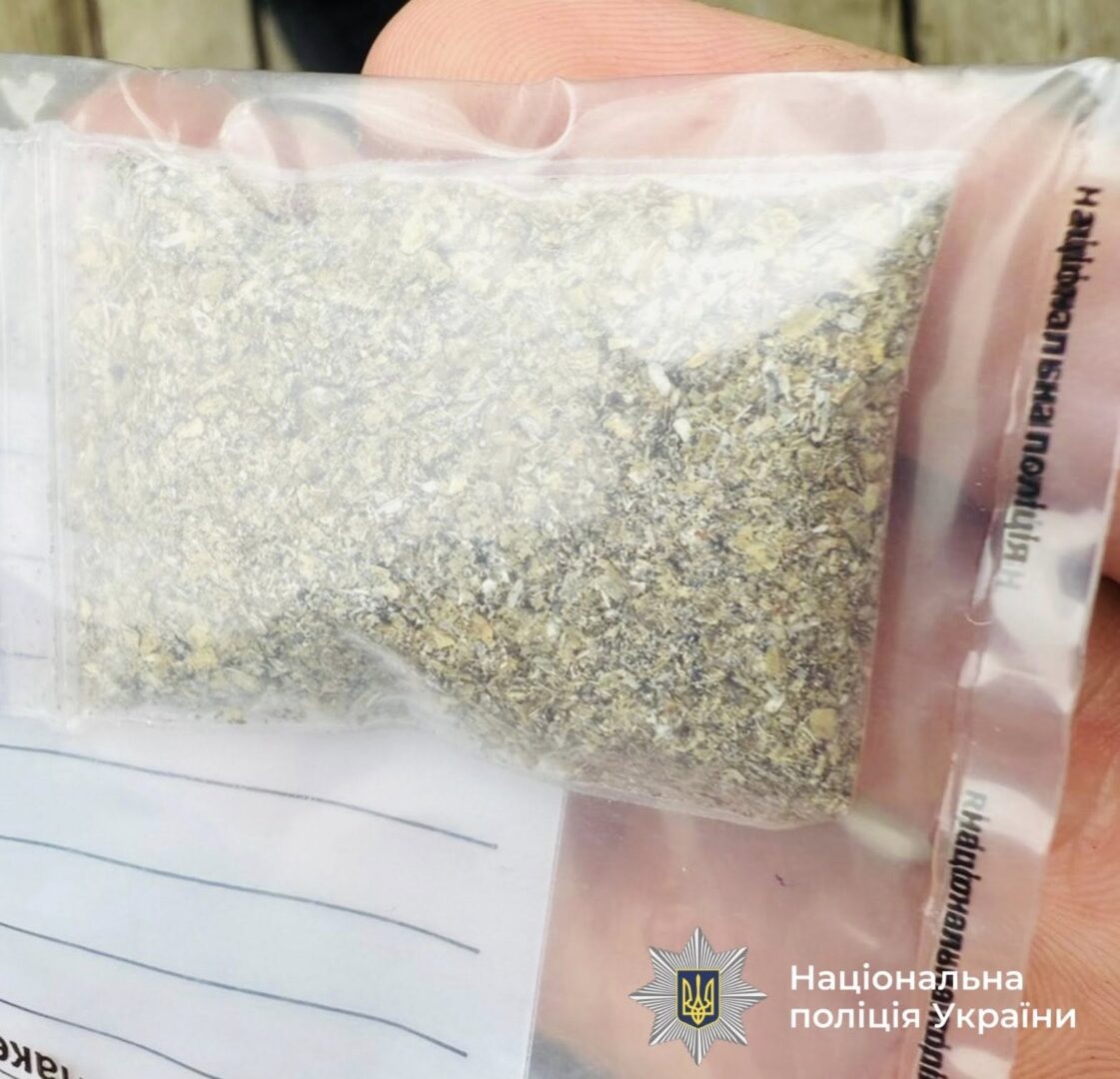 poprol - Вирощував нарковмісні коноплі: поліція Яремче затримала наркодилера - rai.ua