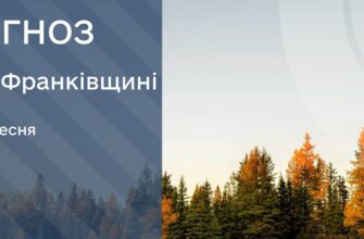Підписуйтеся на наші канали, щоб завжди бути в курсі важливих новин Івано-Франківська та Прикарпаття. • YouTube - https://www.youtube.com/@RAITVUA • Сайт ТРК «РАІ» - https://rai.ua/ • Facebook - https://www.facebook.com/profile.php?id=100063475576480 • TikTok - https://www.tiktok.com/@trkrai?is_from_webapp=1&sender_device=pc