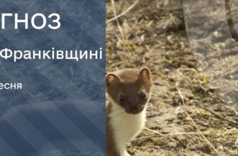 Прогноз погоди на 19 вересня 2025 року