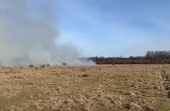 На Прикарпатті закликають не палити сухостій. Відео