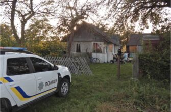 Затримано жінку за підозрою у нанесенні ножового поранення матері
