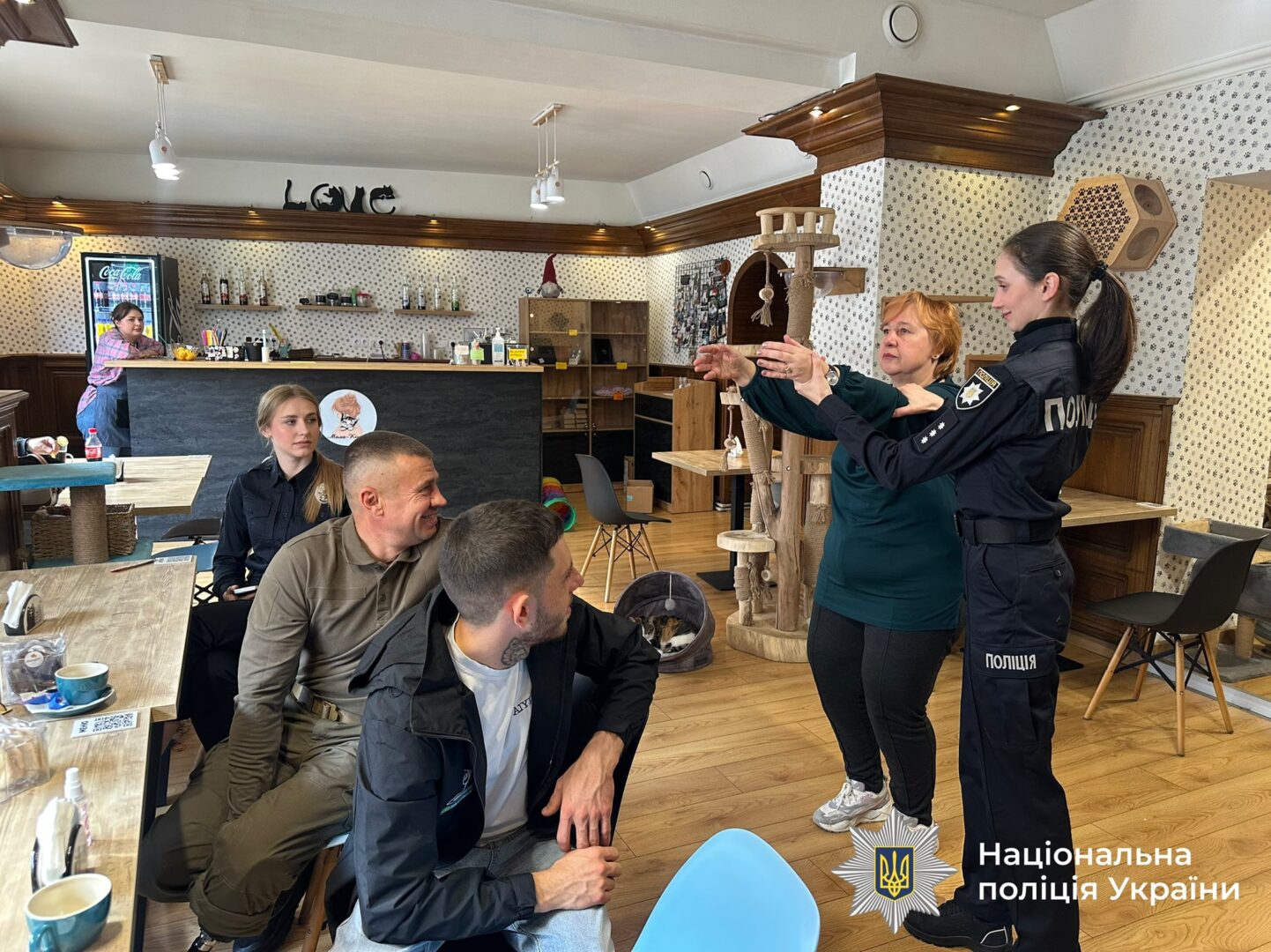 fayr - Фелінотерапія — метод психологічного відновлення за допомогою котів - rai.ua