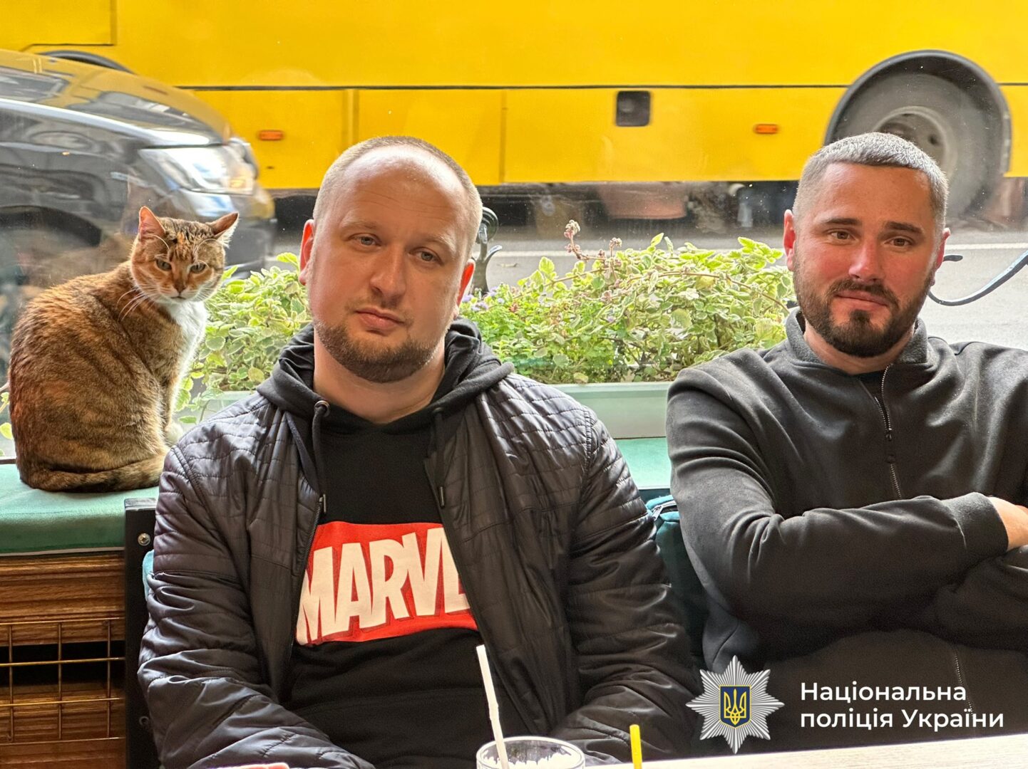 fel7 - Фелінотерапія — метод психологічного відновлення за допомогою котів - rai.ua