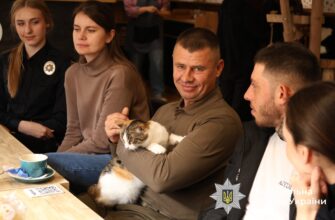Фелінотерапія — метод психологічного відновлення за допомогою котів