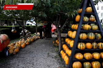 У Коломиї відкрили осінню фотозону. Відео