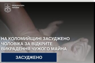 kolryl - На Коломийщині засуджено чоловіка за відкрите викрадення чужого майна - rai.ua