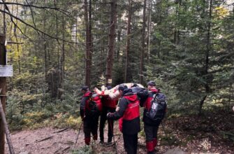 Рятувальники надали допомогу травмованій туристці на горі Маковиця